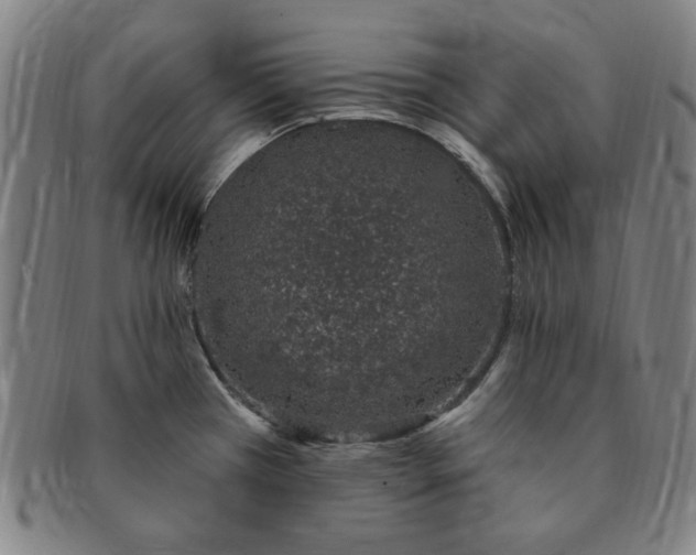 X0000091191385200708231459
