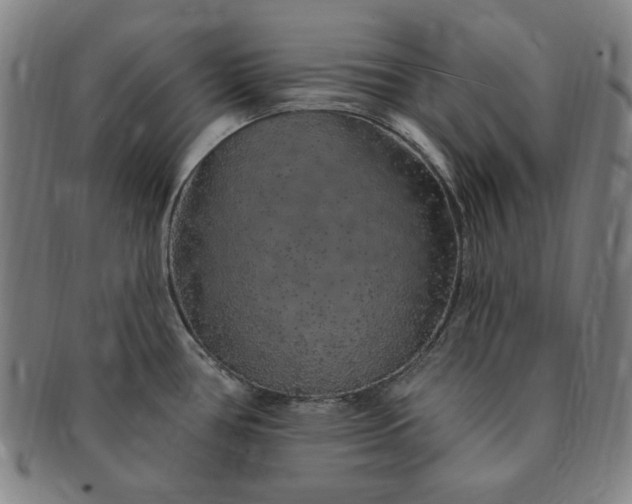 X0000091191386200708231459