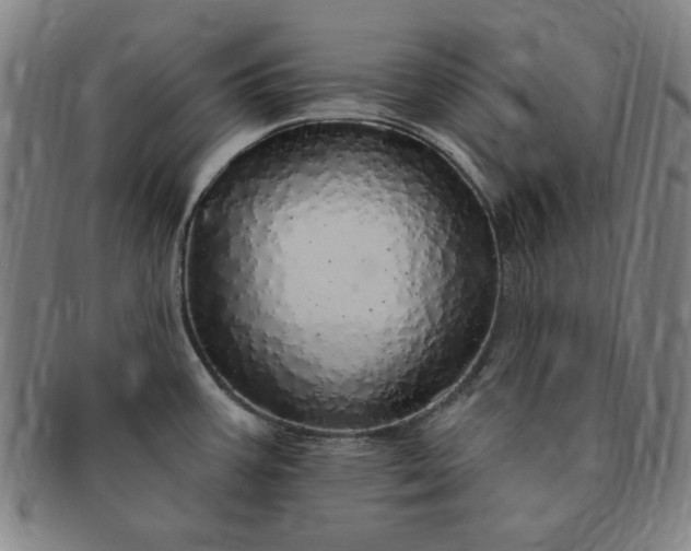 X0000091191387200708231459