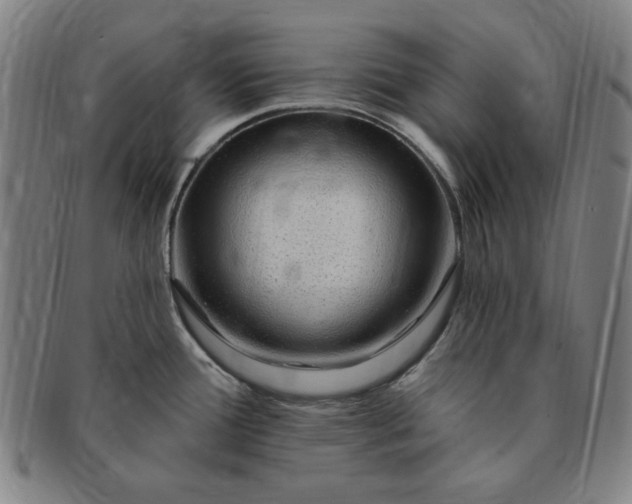 X0000091191388200708231459