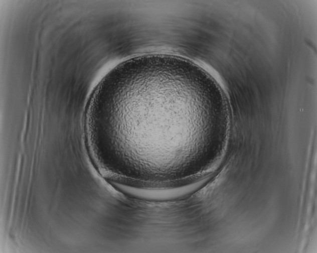 X0000091191389200708231459