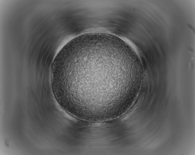 X0000091191390200708231459