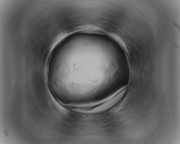 X0000091191391200708231459