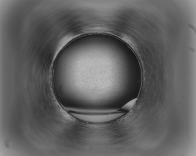 X0000091191392200708231459