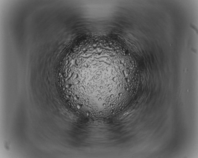 X0000091191393200708231458