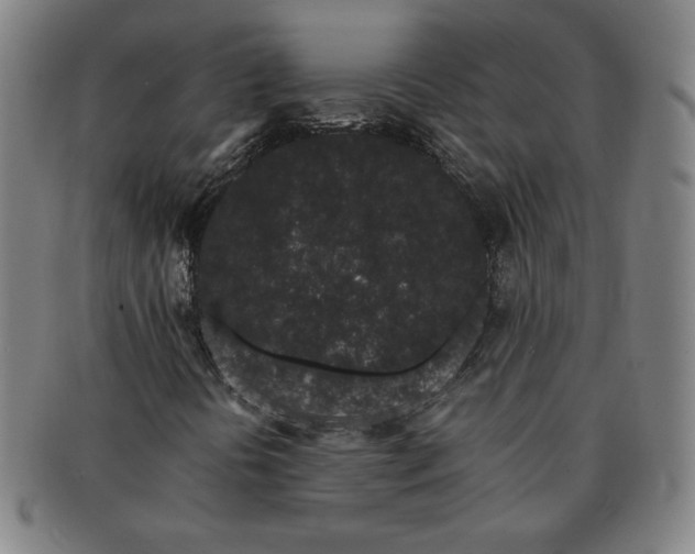 X0000091191394200708231458