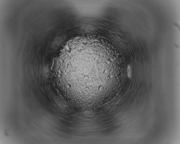 X0000091191395200708231458