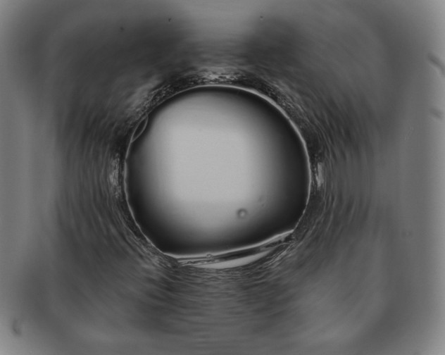 X0000091191396200708231458