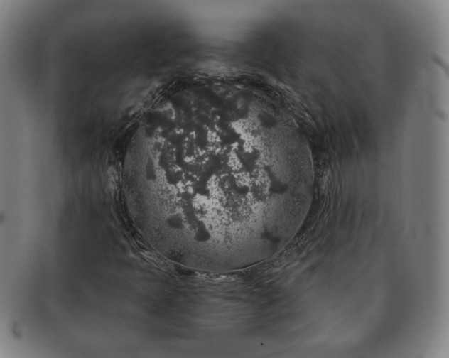 X0000091191397200708231458