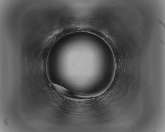 X0000091191398200708231458