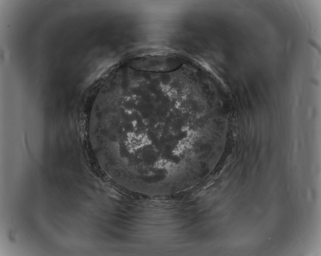 X0000091191399200708231458