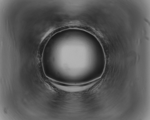 X0000091191400200708231458