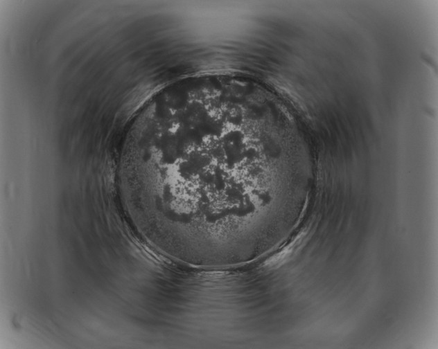 X0000091191401200708231458