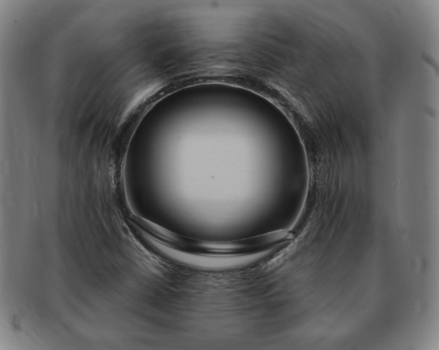 X0000091191402200708231458