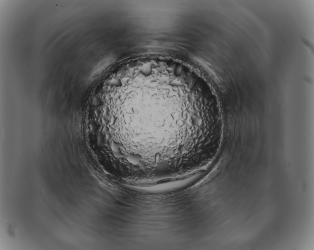 X0000091191403200708231458