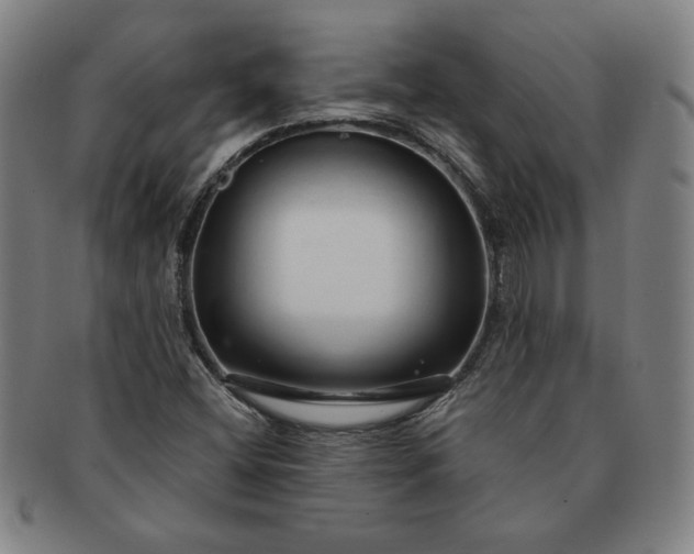 X0000091191404200708231458