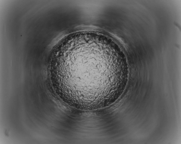 X0000091191407200708231458