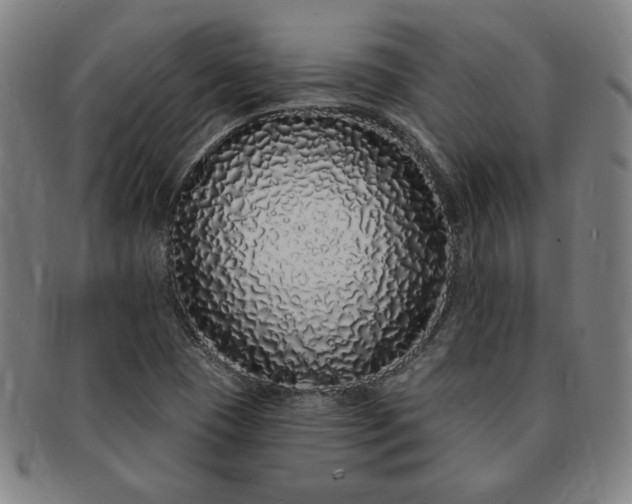 X0000091191409200708231458