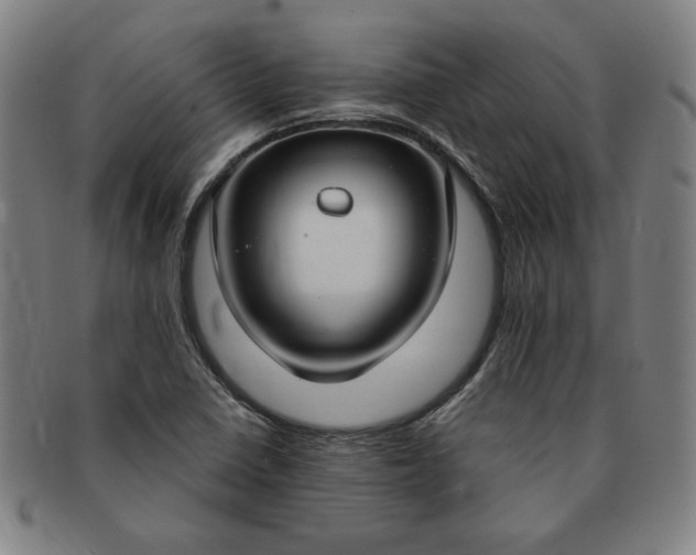 X0000091191410200708231458