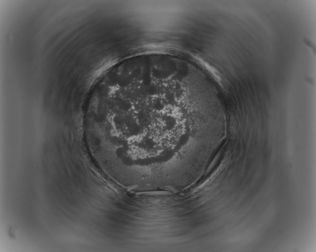 X0000091191411200708231458