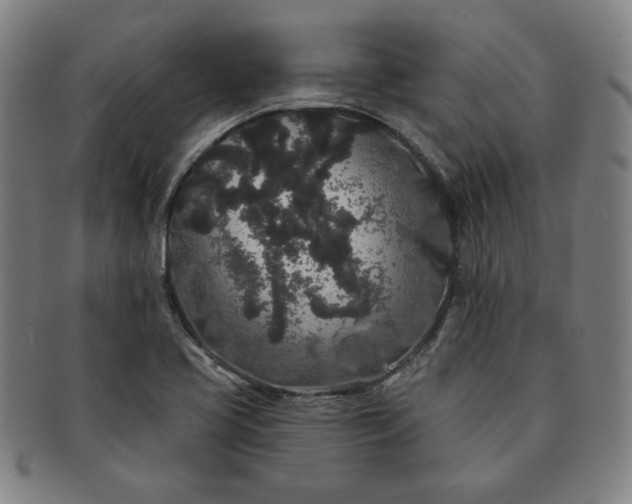 X0000091191413200708231458