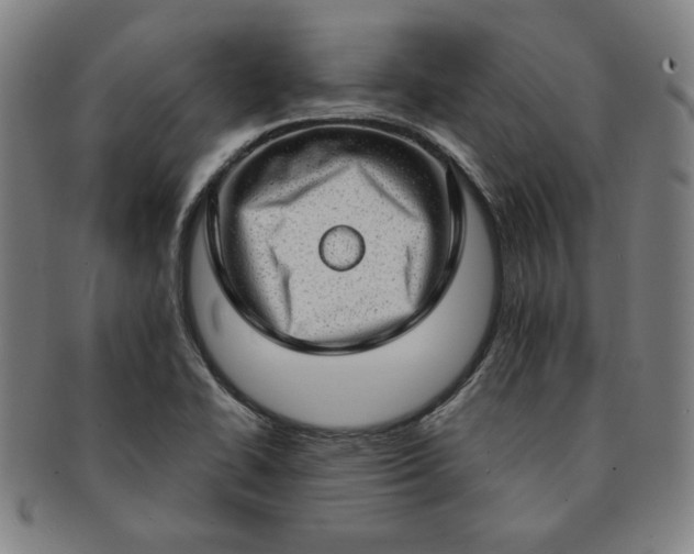 X0000091191414200708231458