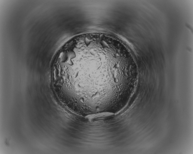 X0000091191415200708231459