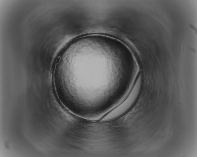 X0000091191416200708231459