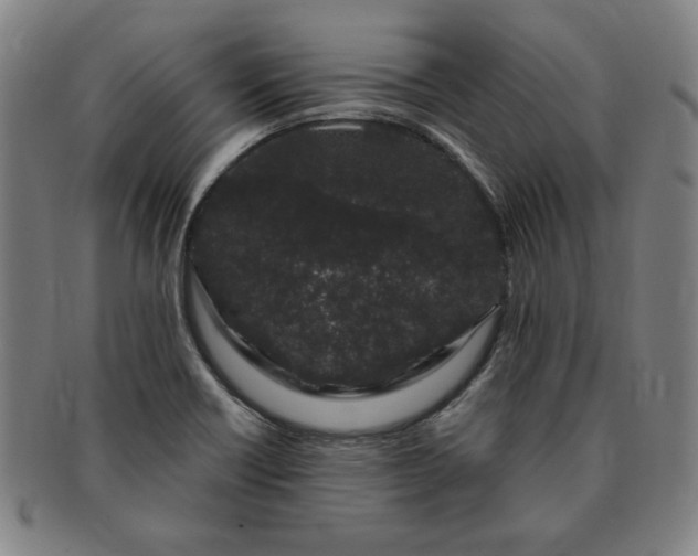 X0000091191418200708231459