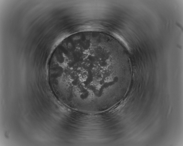 X0000091191419200708231459