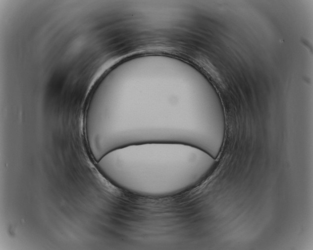X0000091191420200708231459