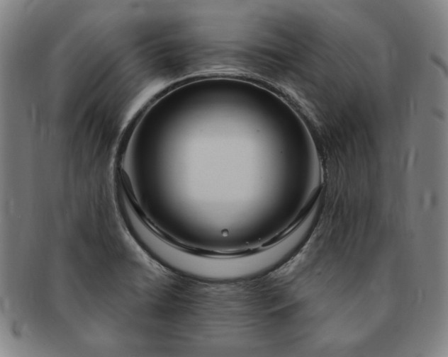 X0000091191422200708231459