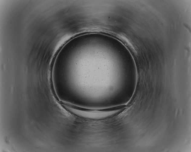 X0000091191424200708231459