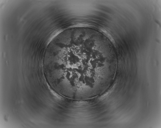 X0000091191425200708231459