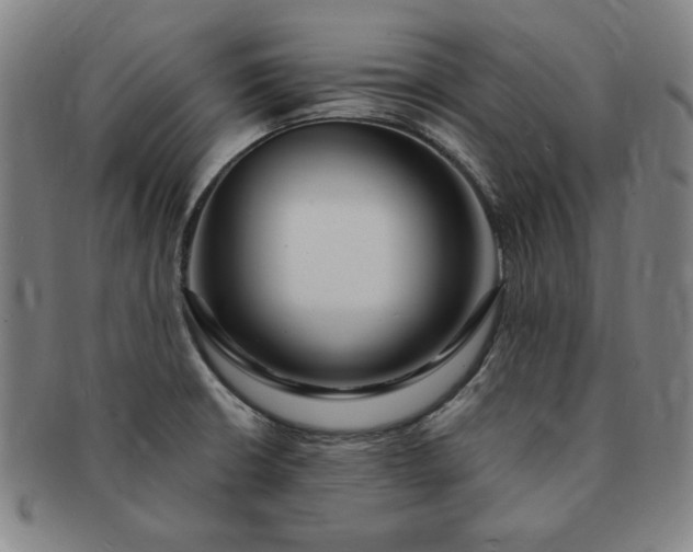 X0000091191426200708231459