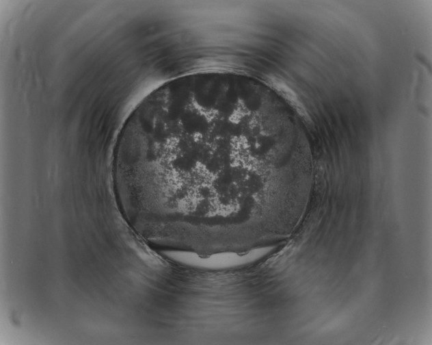 X0000091191427200708231459