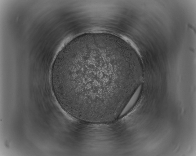 X0000091191429200708231459
