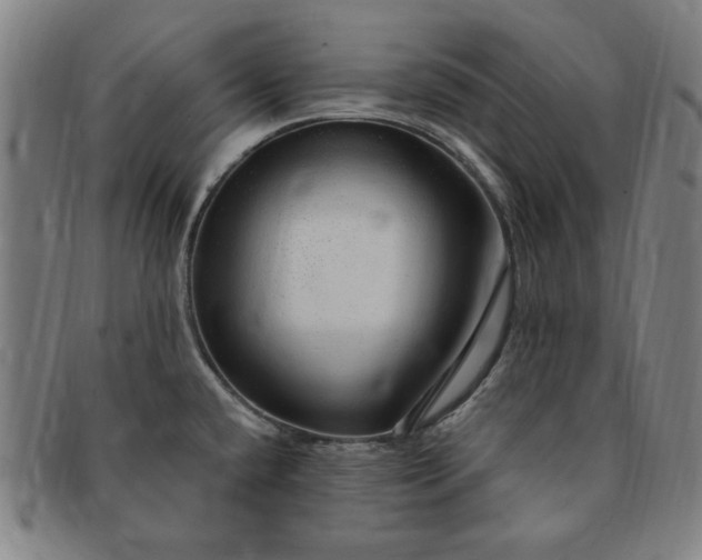 X0000091191432200708231459