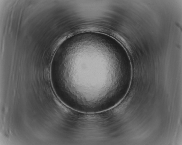 X0000091191433200708231459