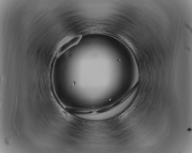 X0000091191434200708231459