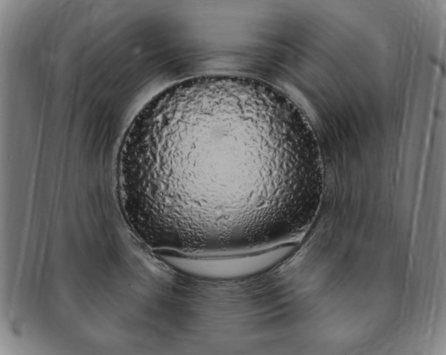 X0000091191435200708231459