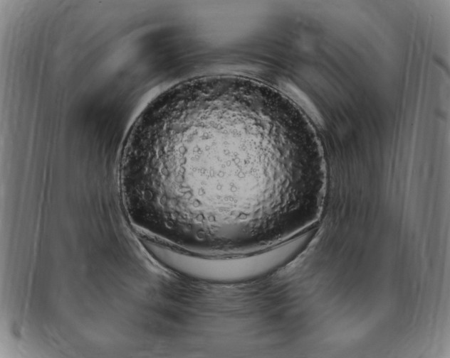 X0000091191436200708231459