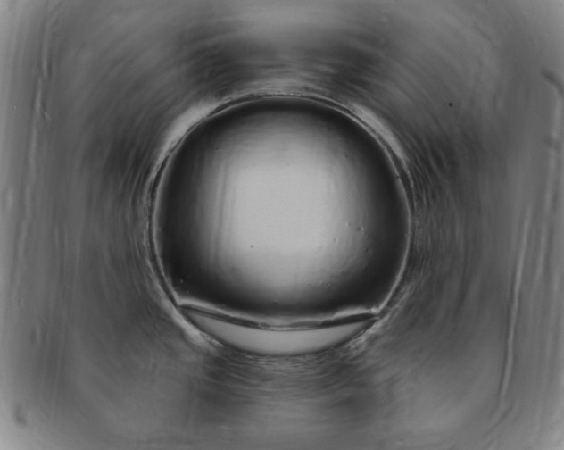 X0000091191437200708231459