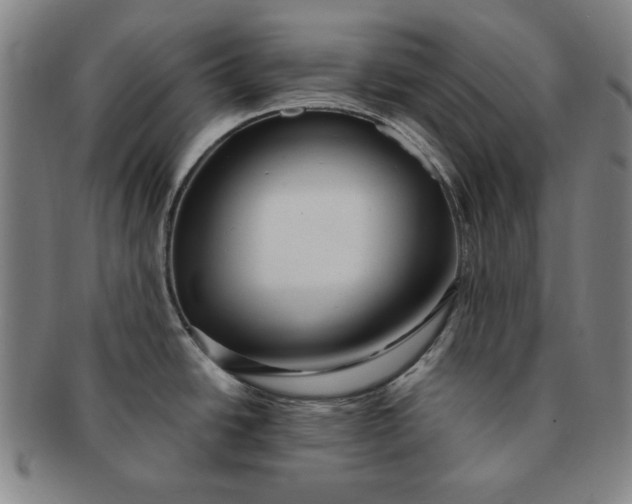 X0000091191438200708231459