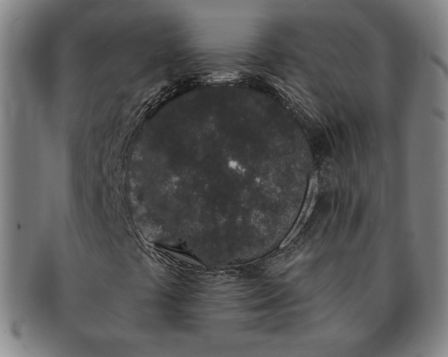 X0000091191441200708231458