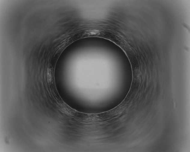 X0000091191442200708231458