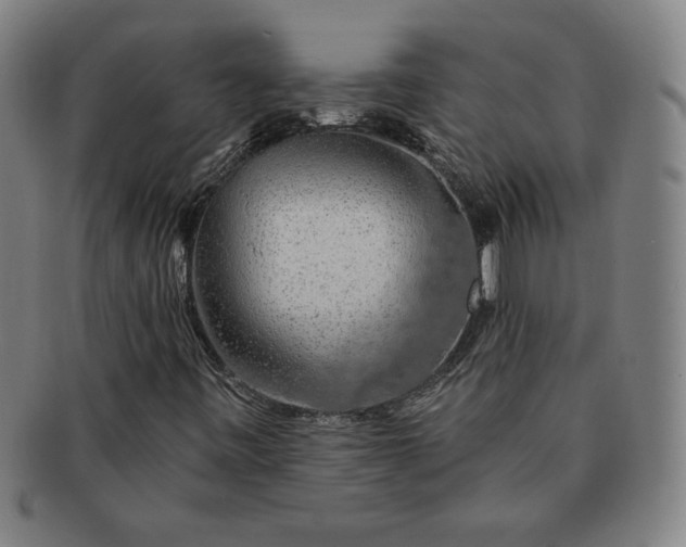 X0000091191443200708231458
