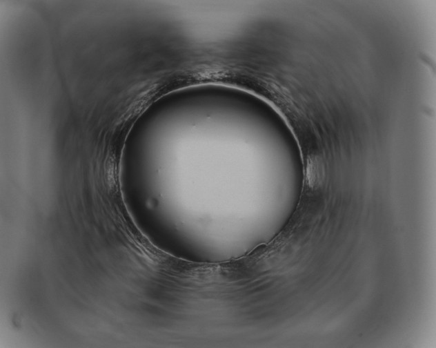 X0000091191444200708231458