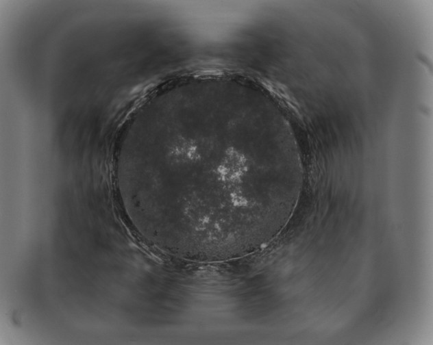 X0000091191445200708231458