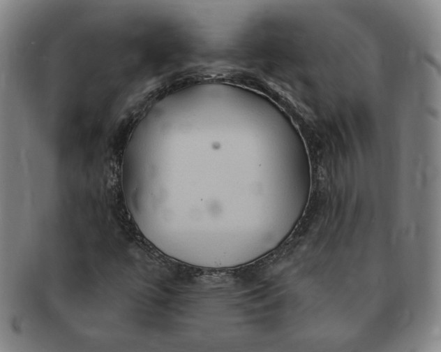 X0000091191447200708231458